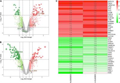 Analysis of Hub Genes Involved in Distinction Between Aged and Fetal Bone Marrow Mesenchymal Stem Cells by Robust Rank Aggregation and Multiple Functional Annotation Methods